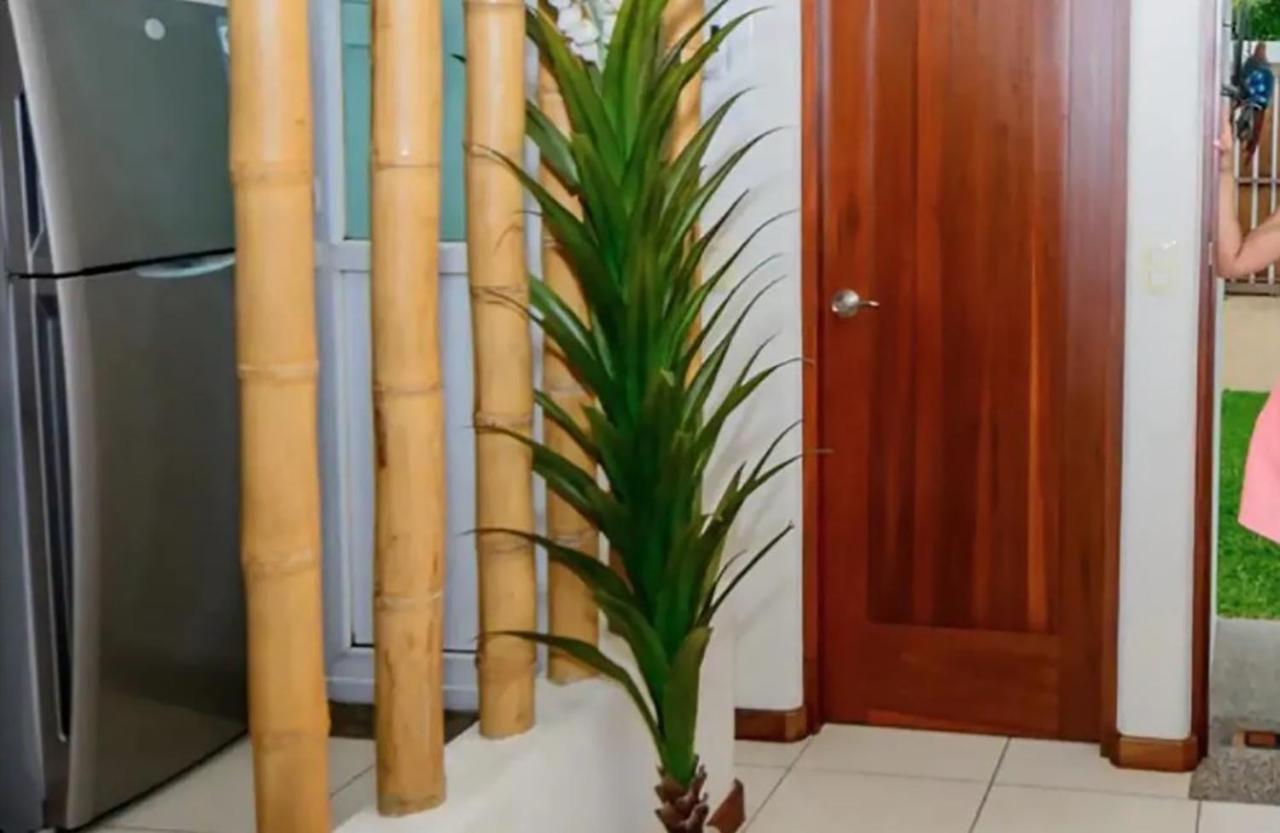 איקסטפה Exclusiva Villa En La Zona Hotelera De Ixtapa_Zihuatanejo מראה חיצוני תמונה